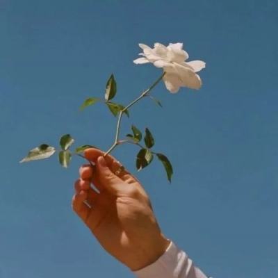 江南足球appapp下载截图